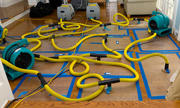 Professional Flood Damage Restoration technician working in Curtis, WA
