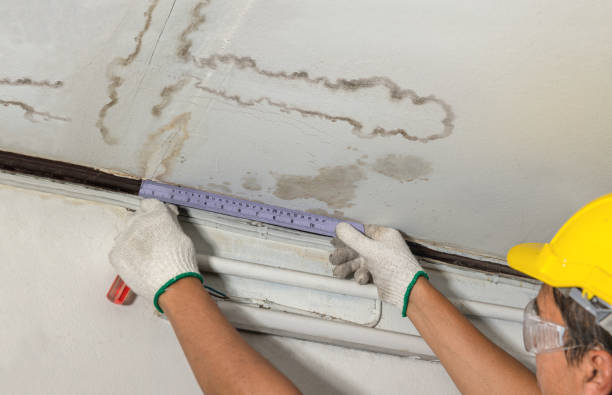 Affordable Water Damage Repair solutions in Curtis, WA